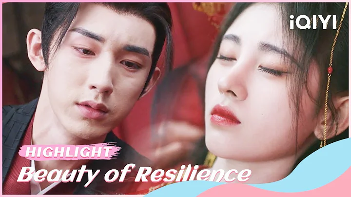 🌷Highlight EP19-24：Sweet Wedding Night Turns to Tragedy | Beauty of Resilience | iQIYI Romance