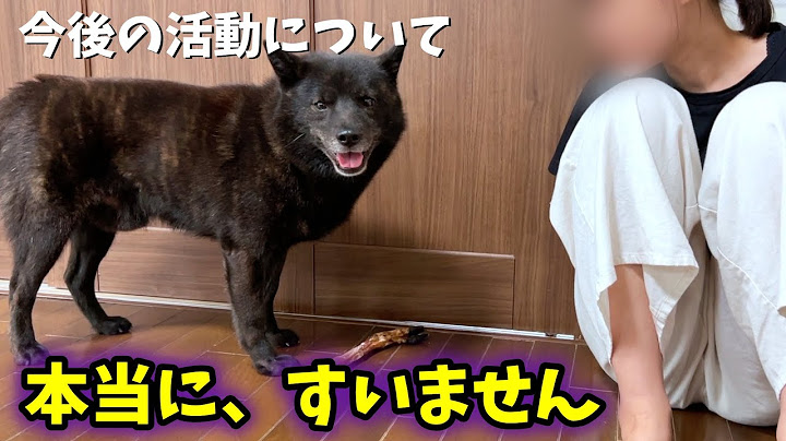 大切なお知らせと、今後について【本音をお話しします】