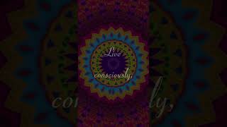 033 When Dreams Whisper Stay Awake