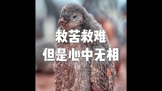 201709 救苦救难 但是心中无相23626
