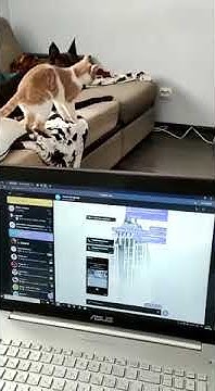 youtube.com