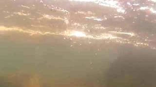 River snorkeling
