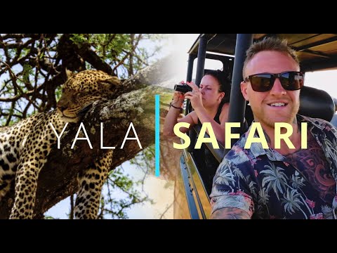 🇱🇰Is This The Best Place To See Leopards In The World? | Yala Safari National Park Travel Guide 2023