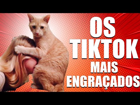 tiktok destaques da semana! tiktok brasil - comedia tiktok