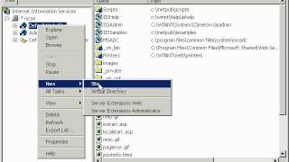 Networking in Urdu iis local