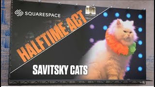 The Savitsky Cats at Halftime Show at Madison Square Garden in NYC