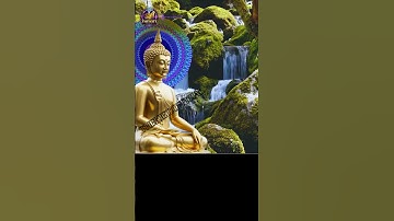 Dấu Hiệu Cho Thấy Bạn Đang Được Phước