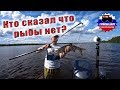 Головастик 2017 Открытие сезона! Ловим рыбу, приятное знакомство! Жаренный судак! ч2