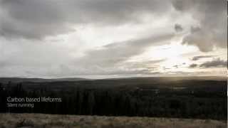 Forest With Clouds,Sweden Timelapse