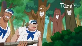 Riuscco France Vlip Lv