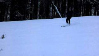 Telemark 2010