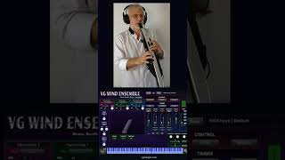 VG Wind Ensemble platform, VST / AU Plugin. Harmonica sound. Roland Aerophone AE-30 Pro. Wah effect