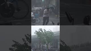 Typhoon Dolphin makes landfall in China