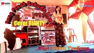 Rang Pauah Bakudo Limo  Cipt Syam Tanjung  Cover  Rianty Hkr  Entertaiment