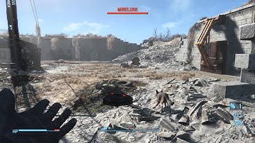Fallout 4 Why I HATE the dog.