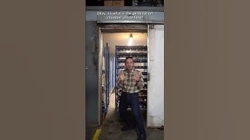 SEED GERMINATION CHAMBER 🌿 How do greenhouses grow seedlings fast?