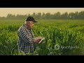 UKO WAVANGA IBINDI BIHINGWA NA AVOKA MUMURIMA UMWE(INTERCROPPING)