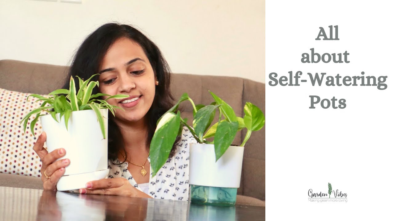 All about Self Watering Pots | Complete Information & Plants for Self Watering Pots