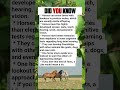 Some strange facts about horses that you might not have known before! 🐎✨