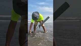 Usando este Tubo Artesanal Atrapé estos extraños Animales de la playa