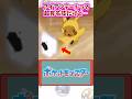 アイアンテールって超有名技だけど…【ポケモン反応集】#アニポケ #サトシ #ピカチュウ