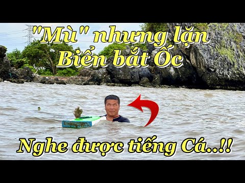 Video Độc lạ 