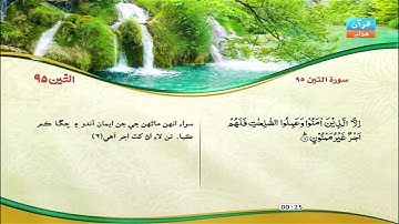 95 | سوره التين | مشاري راشد العفاسي