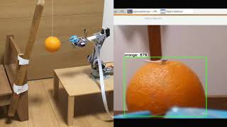 raspberry pi4とpicameraとtensorflowを使って自動収穫装置を作ってみた　Automatic harvesting machine using AI