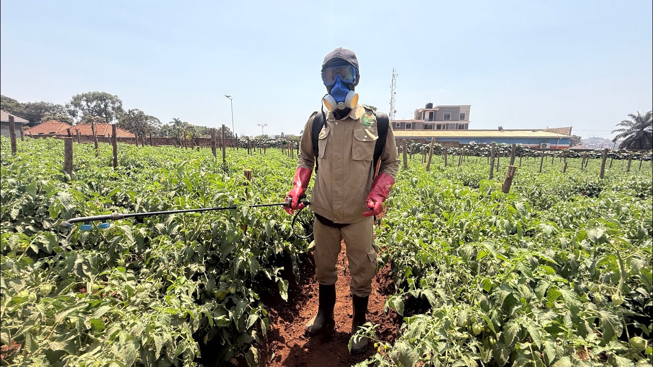 A modern farming technique at Hope Organic