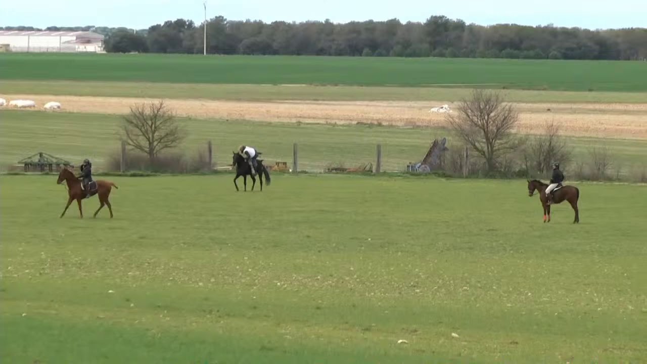 Final Campeonato  LIOSA VS ESCORPIÓN     Primer punto para LIOSA