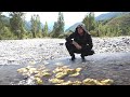 Whole river of gold nuggets! The most gold-bearing rivers!