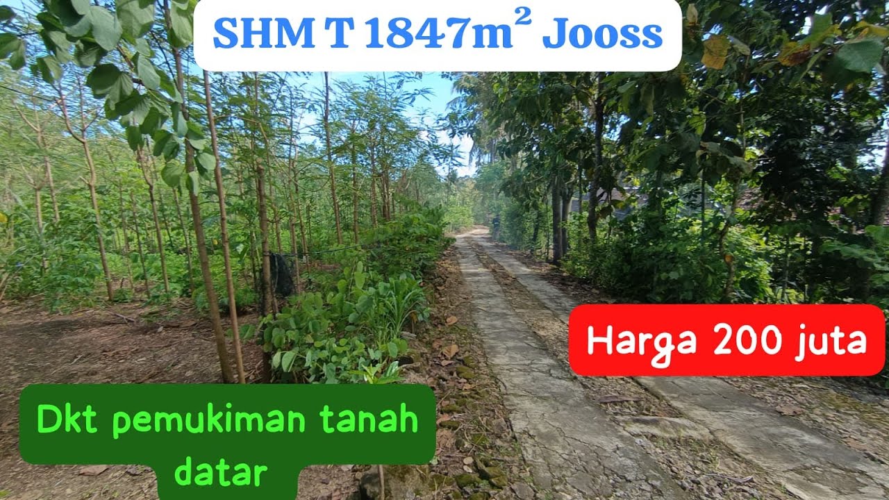 🔴Tanah Tegal SHM 1847m² Datar Subur Nempel Pemukiman #jualtanah #tanahmurahgunungkidul 