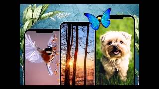 Wallpapers Natural Nature Animals HD For Android Phone (Samsung, Huawei, Xiaomi, Oppo, Vivo, etc) screenshot 2