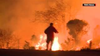 A video of man saving bunny from wildfire goes has gone viral with the
rescuer earning praise thousands on social media.