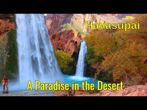 Paradise Falls - Grand American Tires