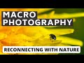 Macro Photography Can Change Your Outlook On Life!