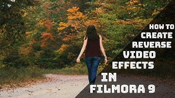 How To Create Reverse Video Effects In Filmora 9 | TechTo