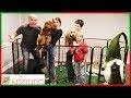 Gnomes Indoor Dog Park Prank I That YouTub3 Family The Adventurers