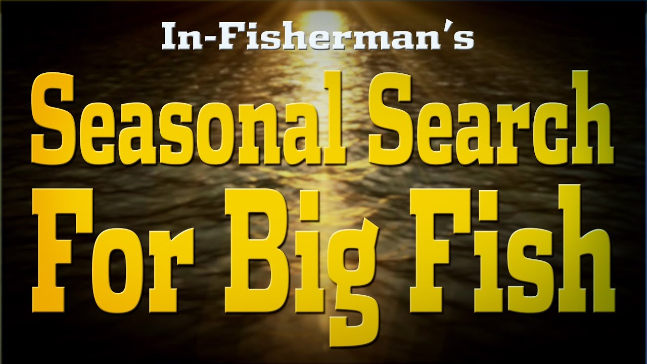 How to Find and Catch Big Fish Peak Fishing Periods! YouTube