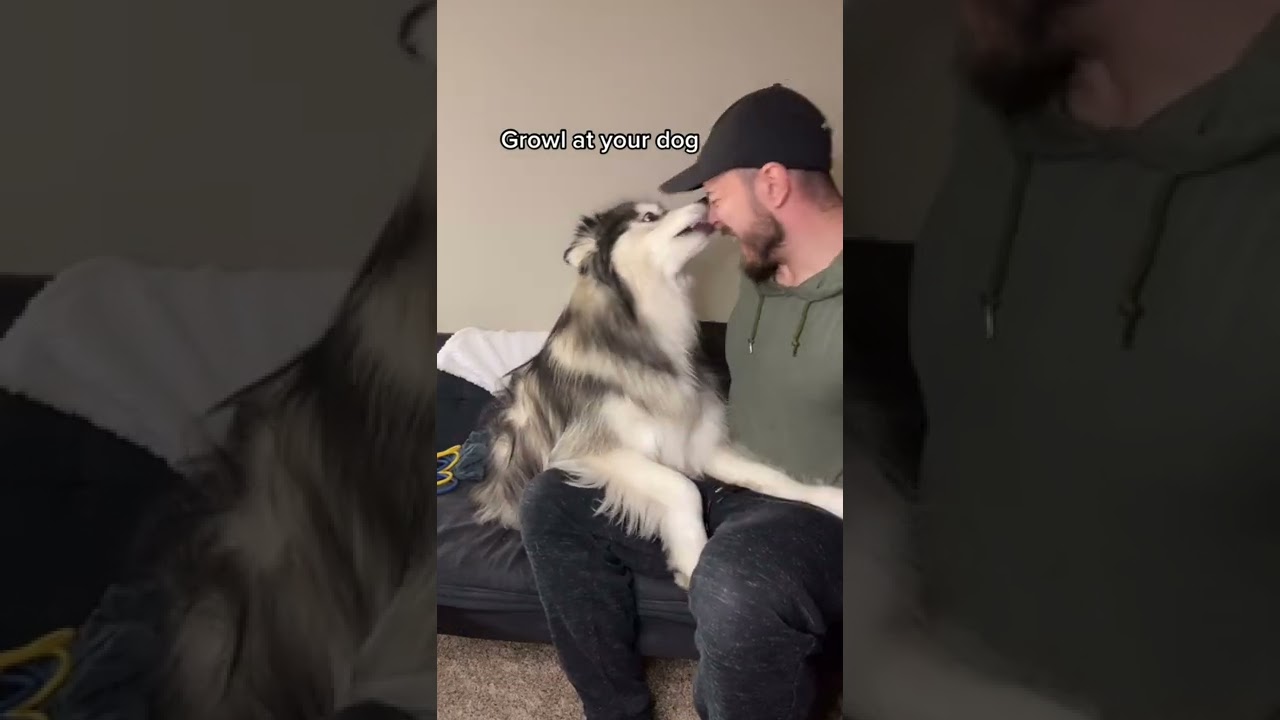 never have I seen him jump so far 🤣 