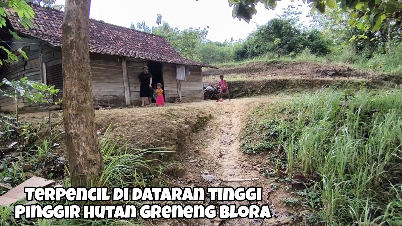 Dolan Waduk Greneng Blora Gak Nyangka Nemu Kampung Seindah Ini Di Dataran Tinggi Pinggir Hutan Jati
