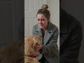 Dog Owner Leaves The Dog Behind 🐕 So Sad 😞 #ai #aicontent #dogs #dogowners