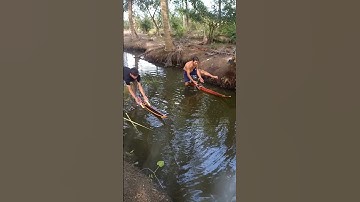 Đua ghe ngo mini 2023