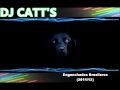 Enganchados Brasileros - Michel Teló , Gusttavo Lima & Otros