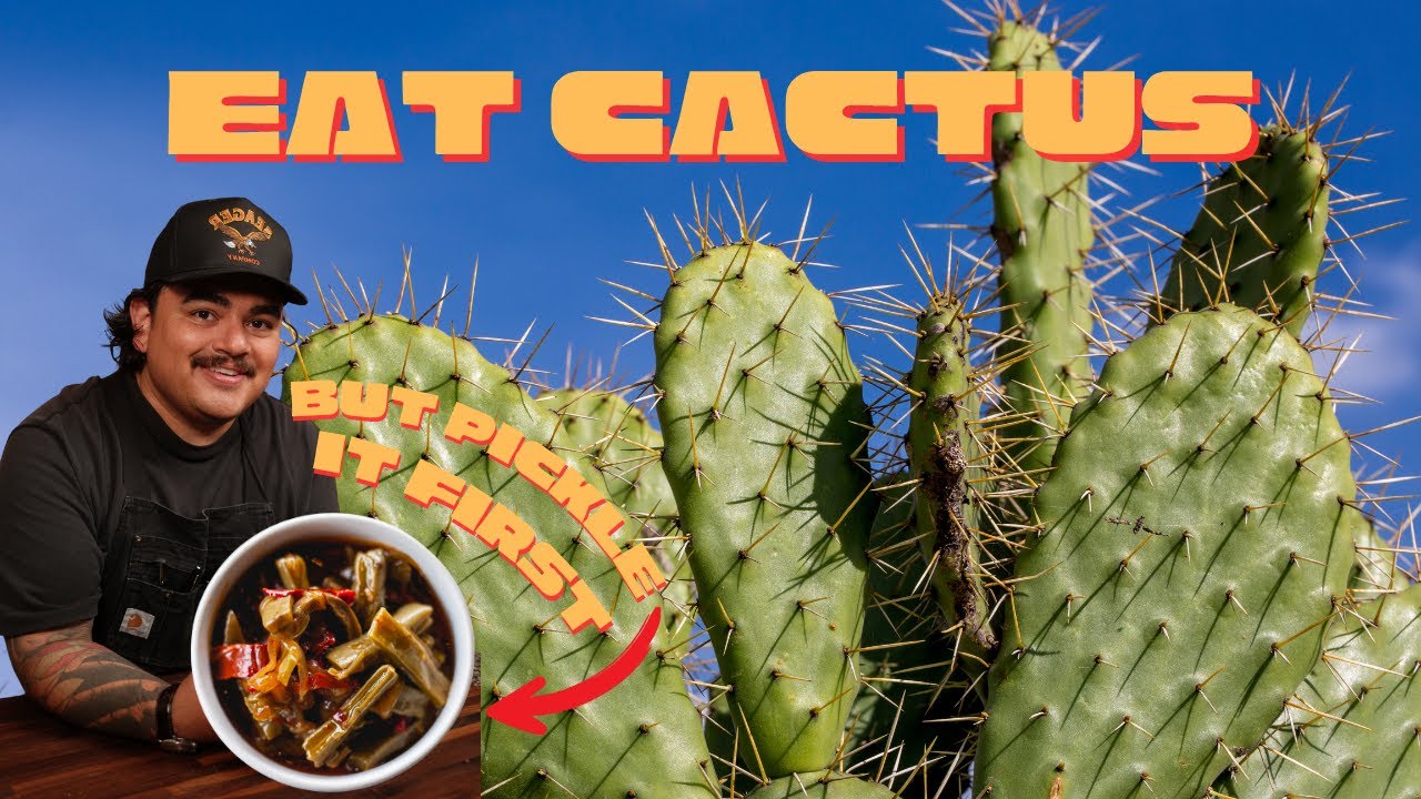 Как приготовить нопалес, как мексиканский шеф-повар | Нежные, яркие и вкусные