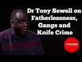 Dr Tony Sewell on Fatherlessness, Gangs and Knife Crime
