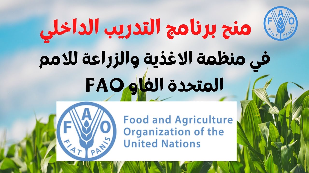 برنامج التدريب في منظمة الاغذية والزراعة للامم المتحدة الفاو I منح ...