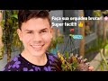 COMO FAZER UMA ORQUÍDEA BROTAR??? DICA DE ADUBO