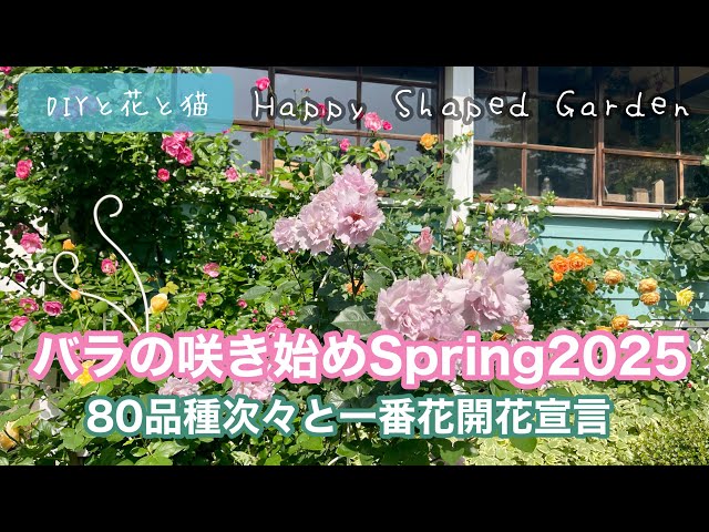 Winnieさま専用（原画）月下のローズガーデン ほか　3点おまとめ Rose garden at Endo's house 遠藤さん宅のバラ園 バラや草花が