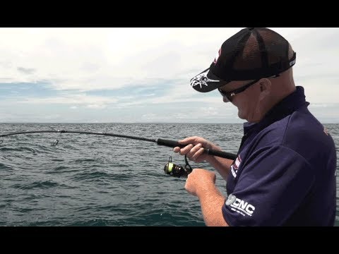 penn clash spinning reel